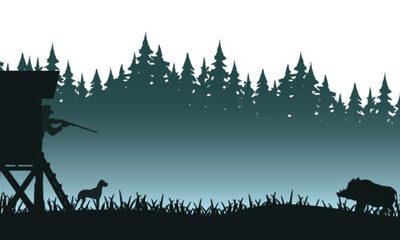 RIPRISTINI FAUNISTICI LEPRE -DATE E SITI CATTURA – FEBBRAIO 2026