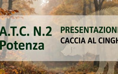 CACCIA AL CINGHIALE – PRESENTAZIONE DELLE ISTANZE PER LA STAGIONE VENATORIA 2026/2027